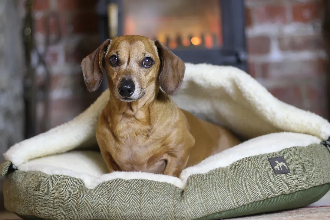 Country and Twee Tweed Cave Dog Bed