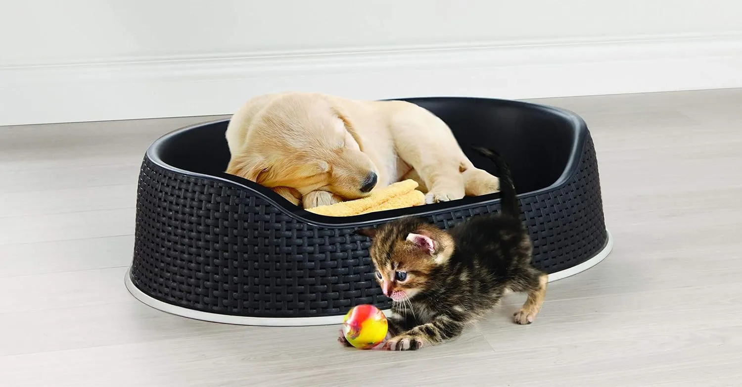 Curver Pet Basket (small)