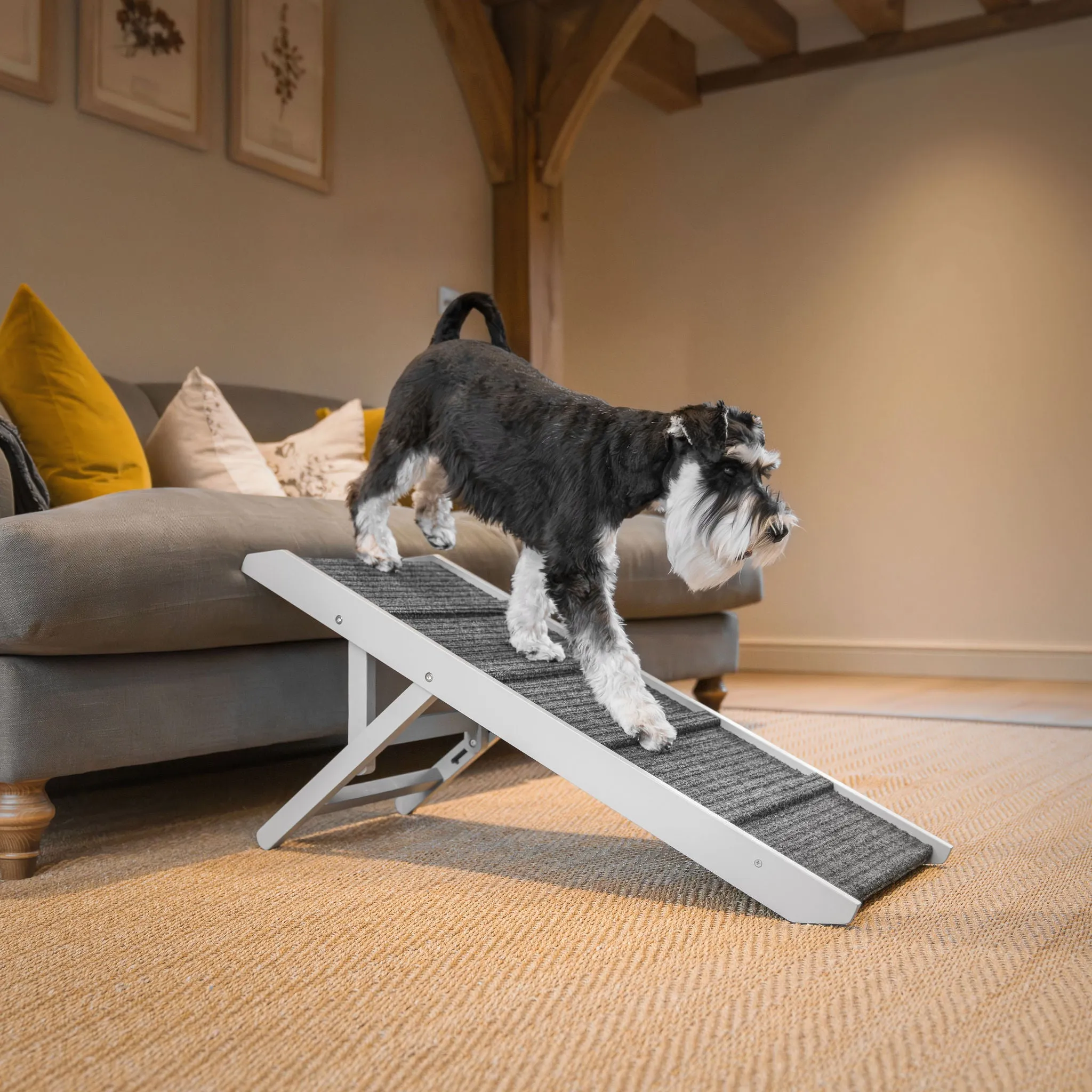 Grey Wooden Pet Ramp by Lords & Labradors