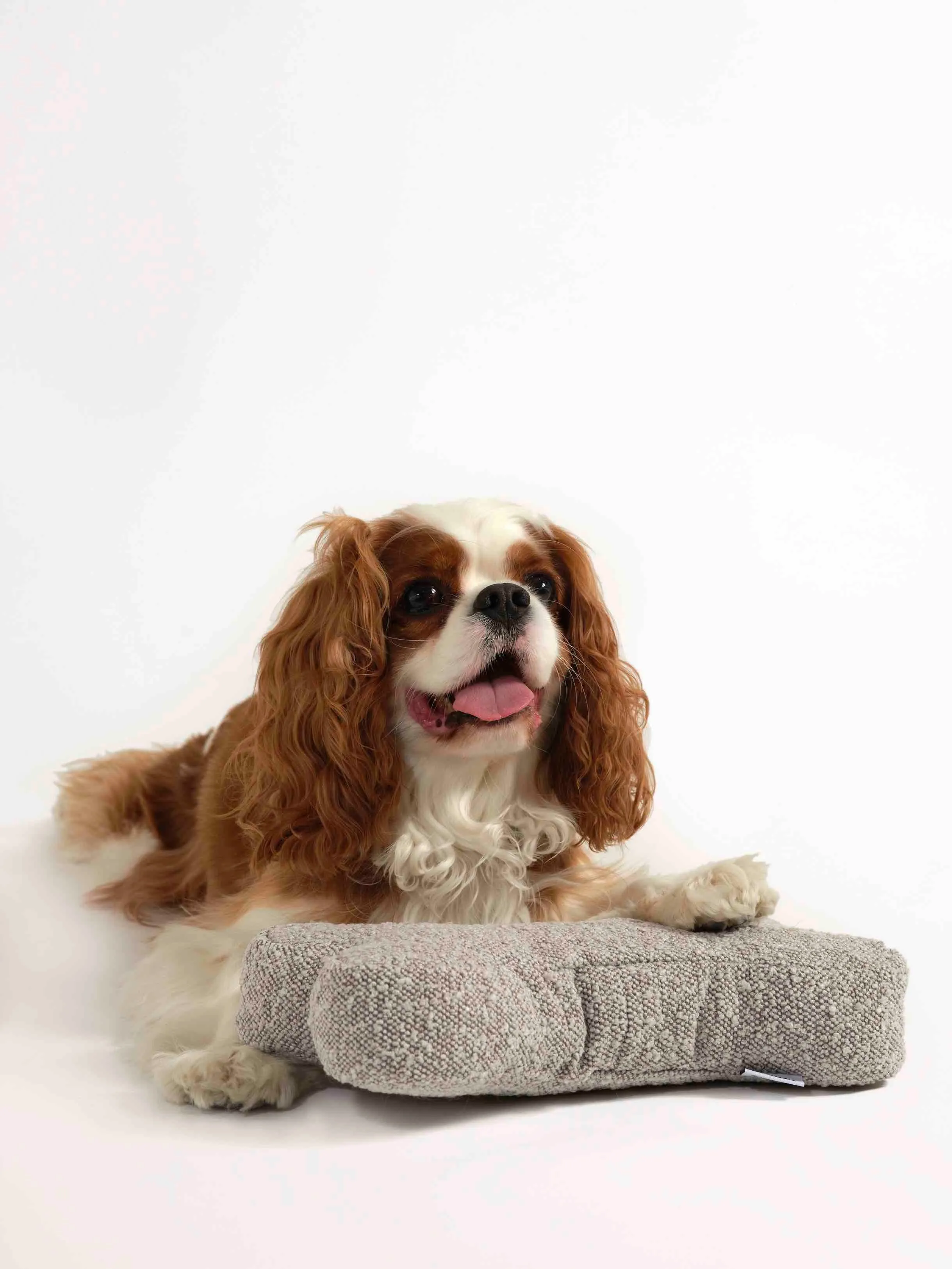 Hommey Boucle Bone Pillow - Stone