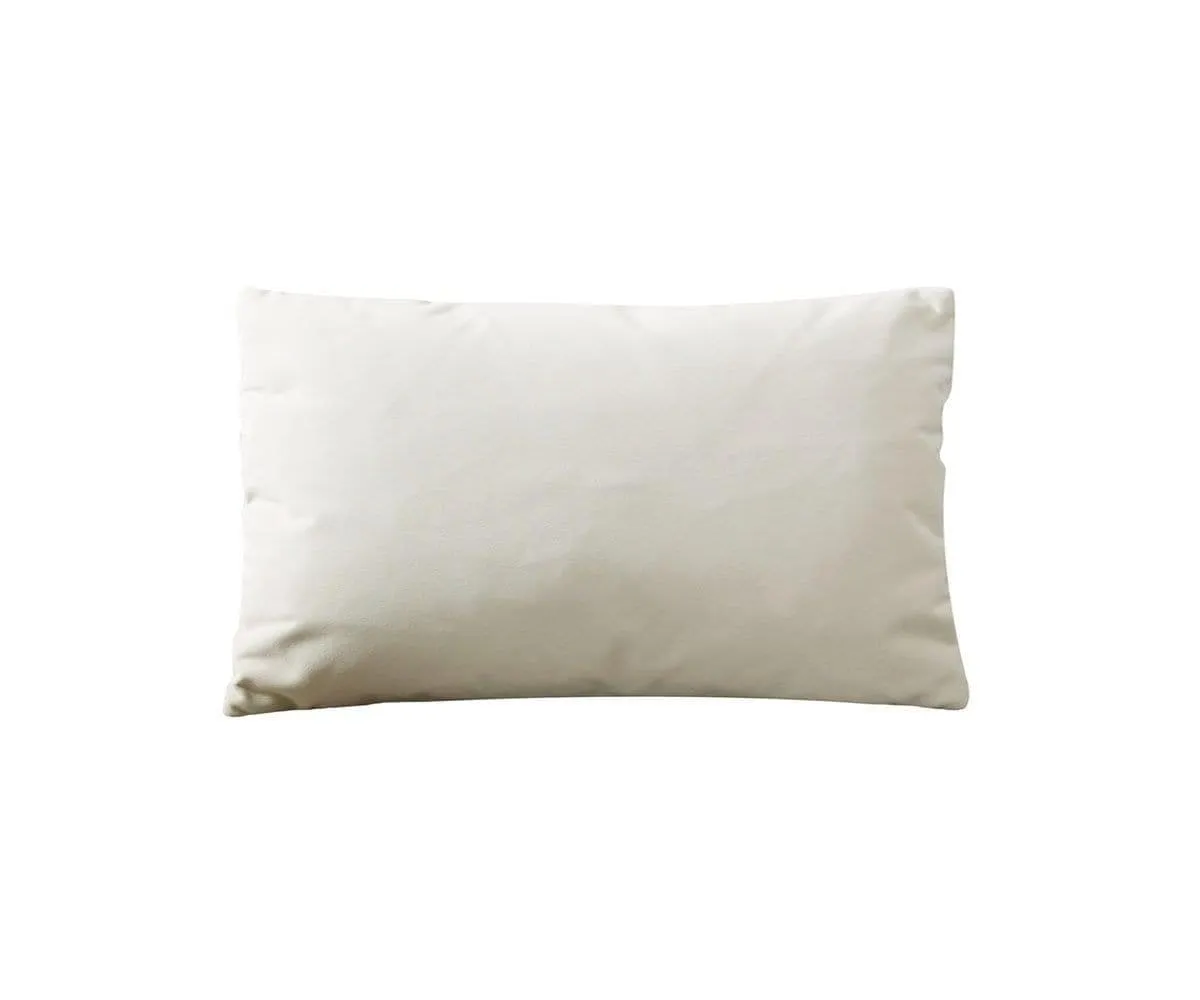 Joei Velvet Lumbar Pillow