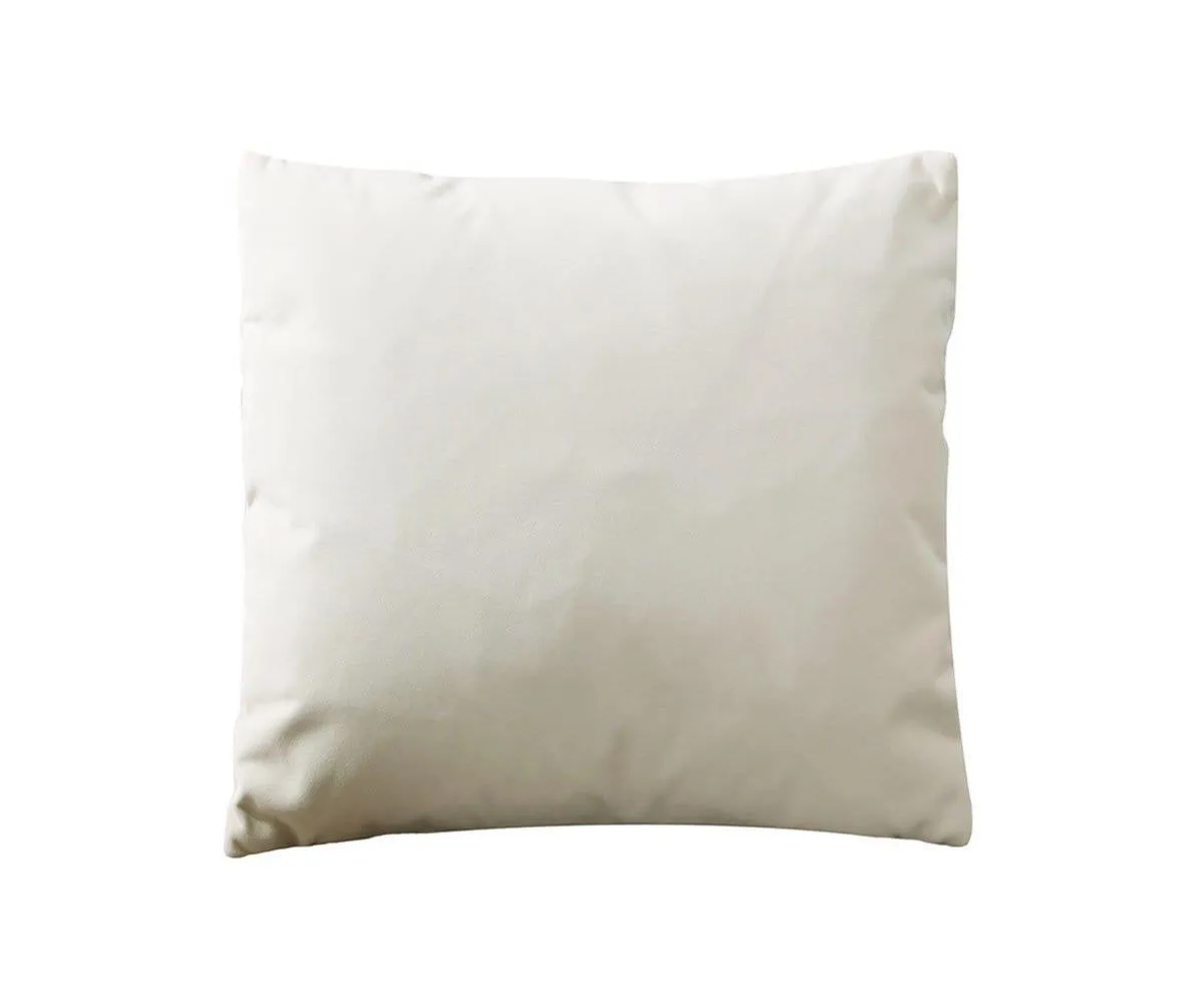 Joei Velvet Pillow