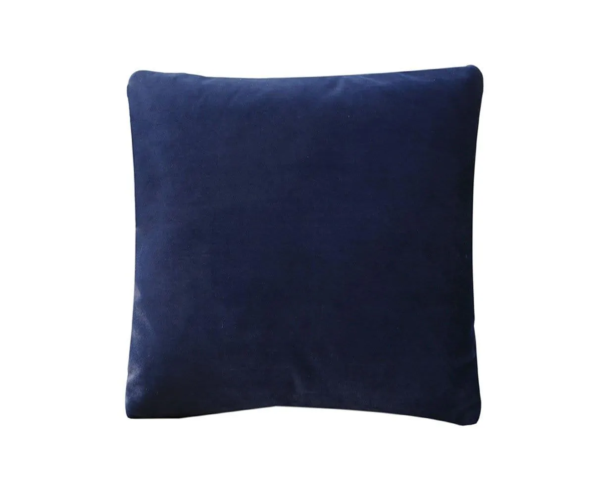 Joei Velvet Pillow