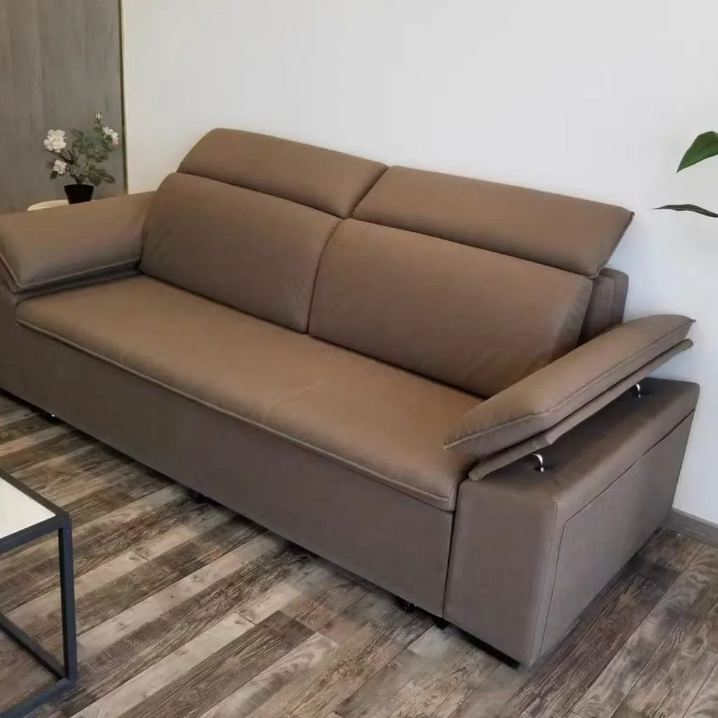 Joel Extendable Storage Sofa Bed with Adjustable Headrest