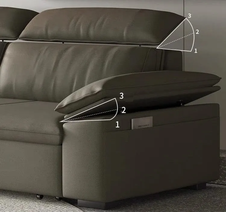 Joel Extendable Storage Sofa Bed with Adjustable Headrest