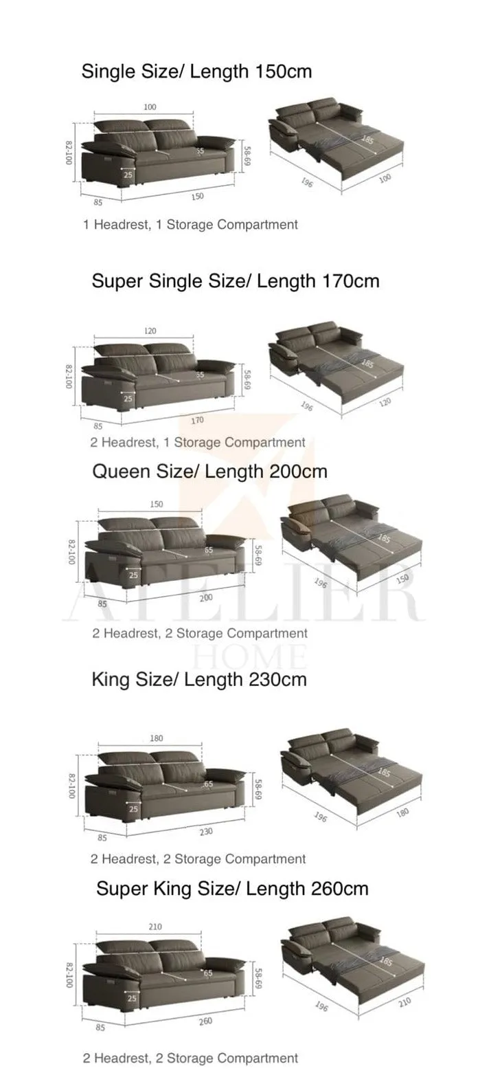 Joel Extendable Storage Sofa Bed with Adjustable Headrest