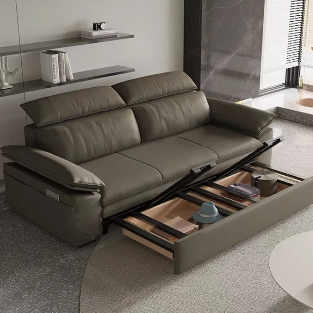 Joel Extendable Storage Sofa Bed with Adjustable Headrest