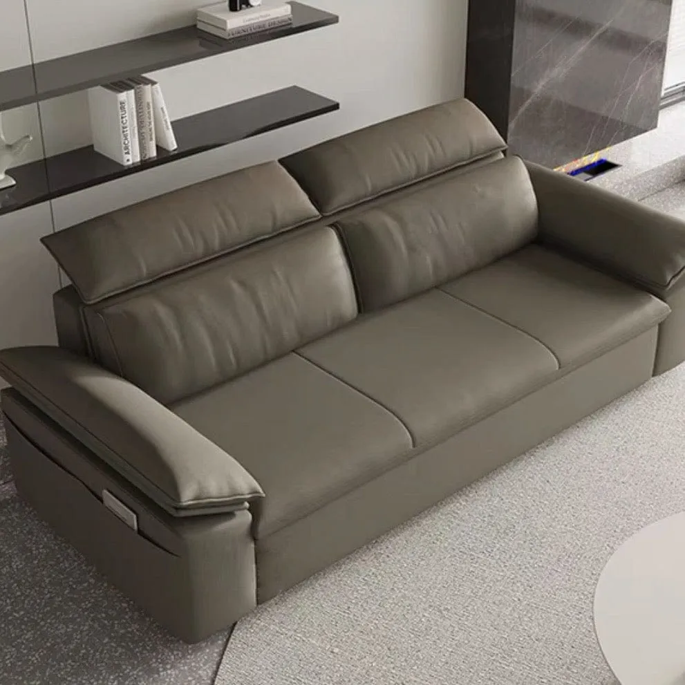 Joel Extendable Storage Sofa Bed with Adjustable Headrest