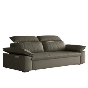 Joel Extendable Storage Sofa Bed with Adjustable Headrest