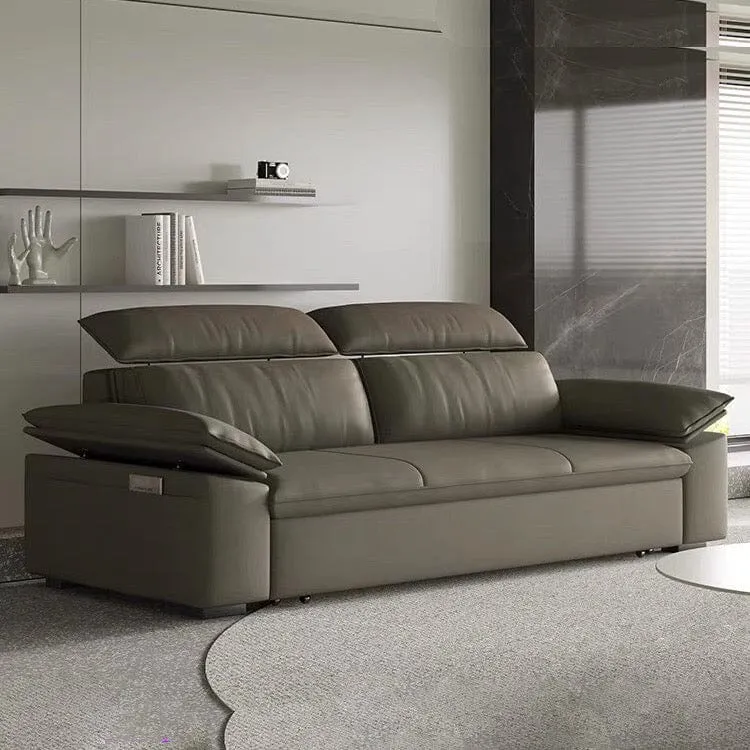 Joel Extendable Storage Sofa Bed with Adjustable Headrest