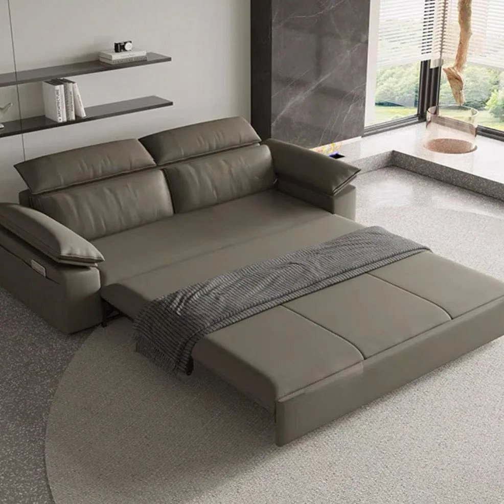 Joel Extendable Storage Sofa Bed with Adjustable Headrest