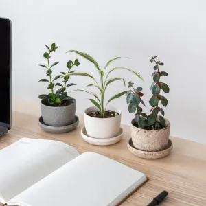 Recycled Mini Planters