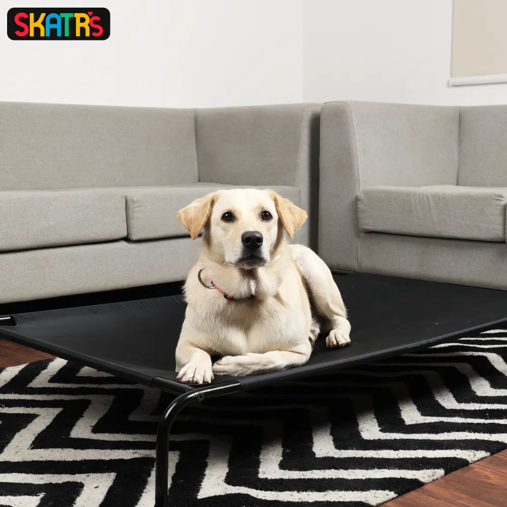 Skatrs Elevated Beds for Dogs & Cats (Black)