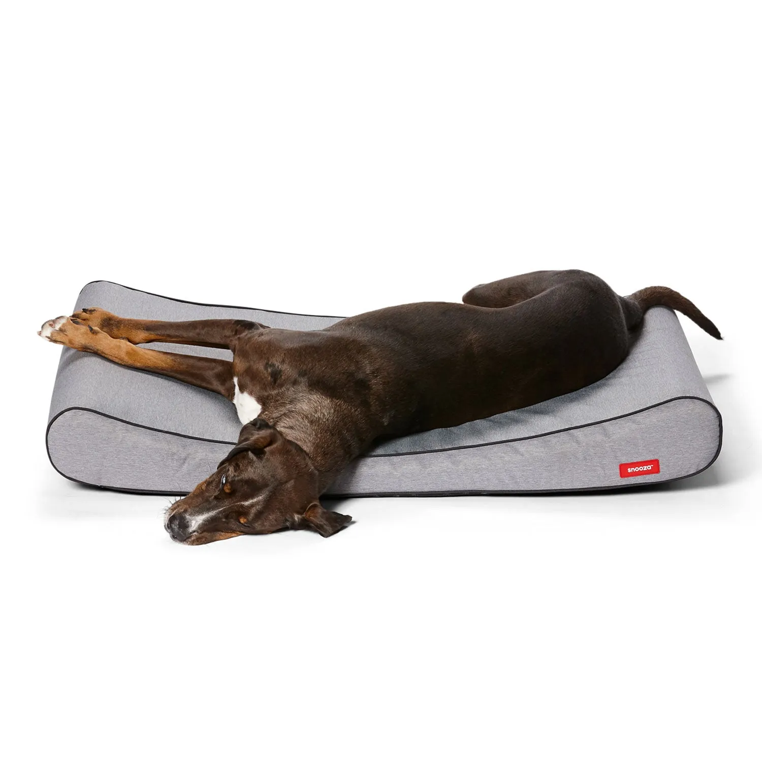 Snooza Ortho Lounger Grey