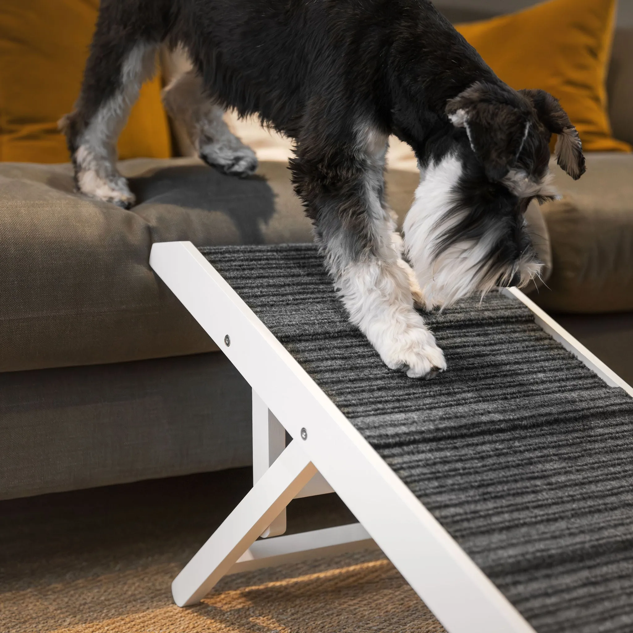 White Wooden Pet Ramp by Lords & Labrador